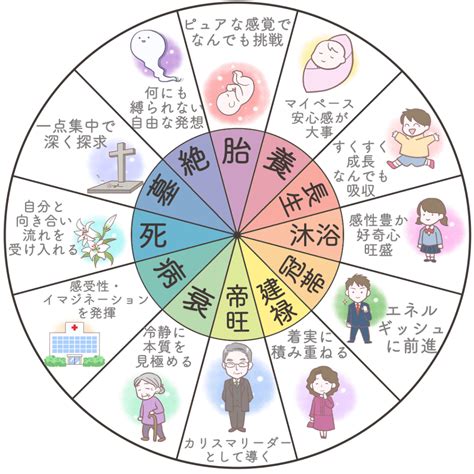 年柱 月柱 日柱|四柱推命の十二運とは？年柱・月柱・時柱とあわせて。